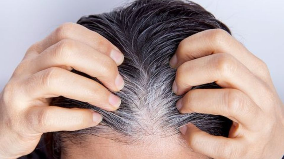 Di adiós a las canas: aprende la técnica para cubrirlas durante más tiempo
