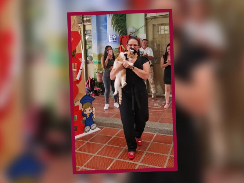 ¡Salvó el semestre! Gatito recibe diploma junto a sus compañeros… aunque se la pasó durmiendo