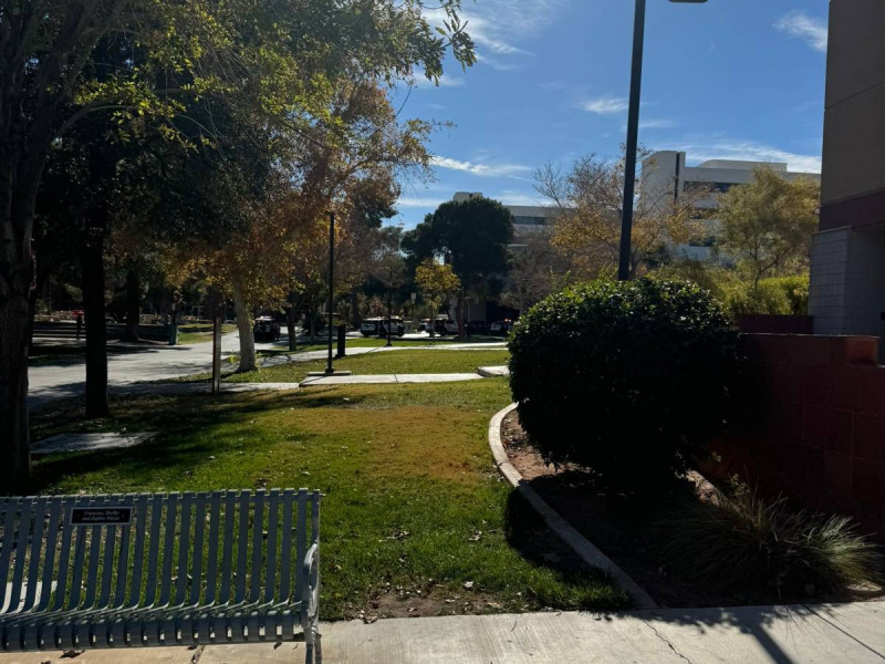 Reportan tiroteo en universidad de Las Vegas; policía informa de posibles víctimas