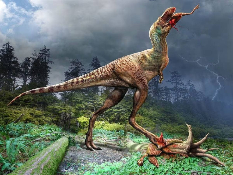 Hallan crías de dinosaurio desmembradas en el vientre de un primo del T. Rex