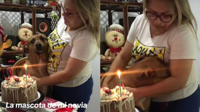 ¿Le ganó el sentimiento? Perrito «llora» frente a su pastel de cumpleaños: Video viral