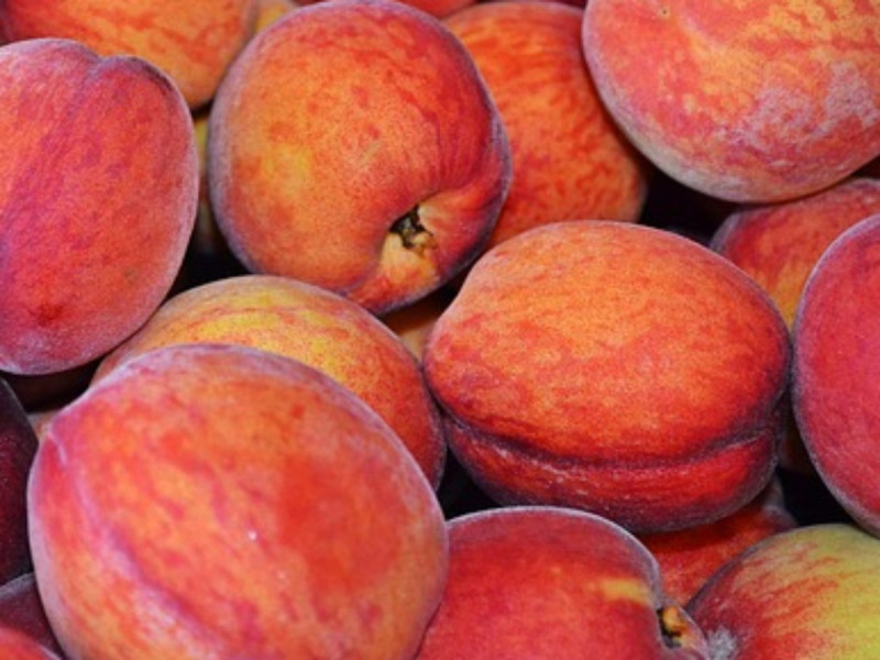 Cofepris alerta sobre contaminación en frutas provenientes de EU