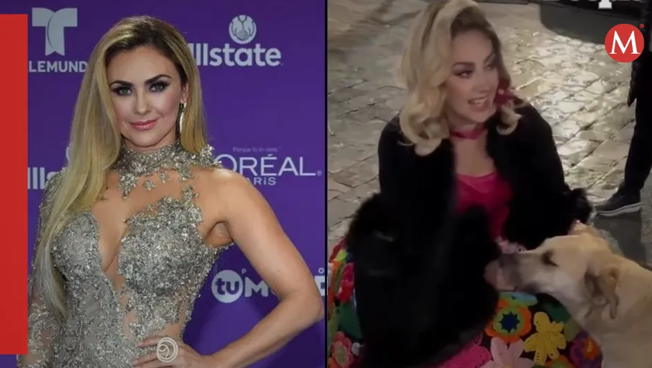 Aracely Arámbula se ‘topa’ con perrito callejero en la Basílica de Guadalupe y lo quiere adoptar