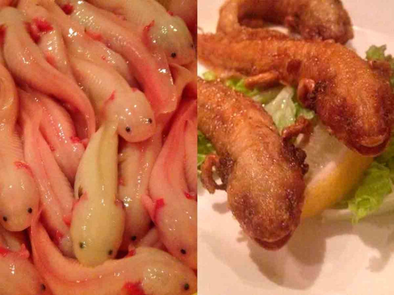 Indigna restaurante de comida exótica en Japón que sirve ajolotes fritos como parte de su menú