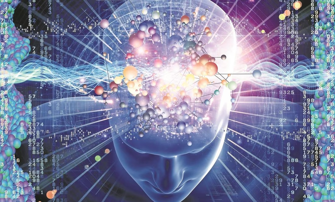 Elaboran el primer Atlas del cerebro humano