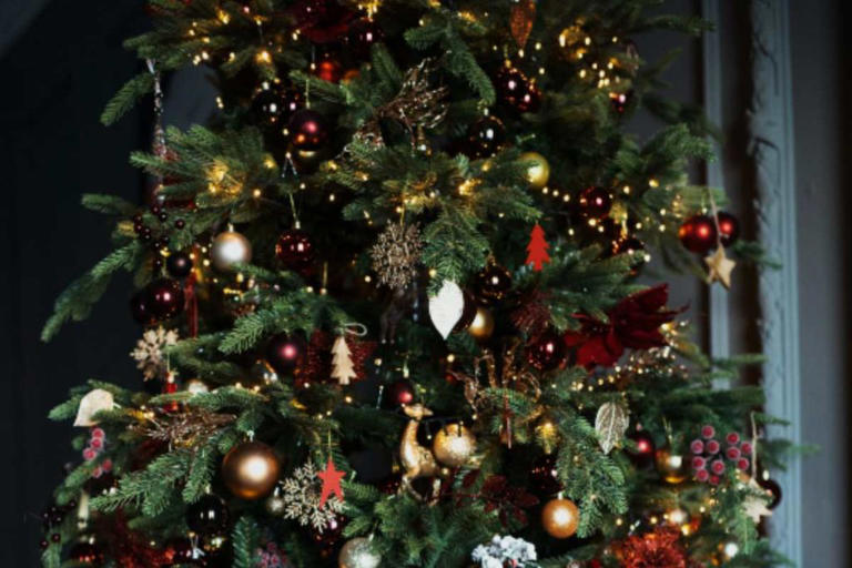¿Cuándo se quita el árbol de Navidad este 2023? Aunque no lo creas, hay una fecha exacta