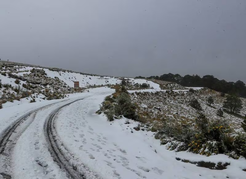¿Nieve a la vista? Frente Frío 19 y tormenta invernal pondrán a temblar a estos estados