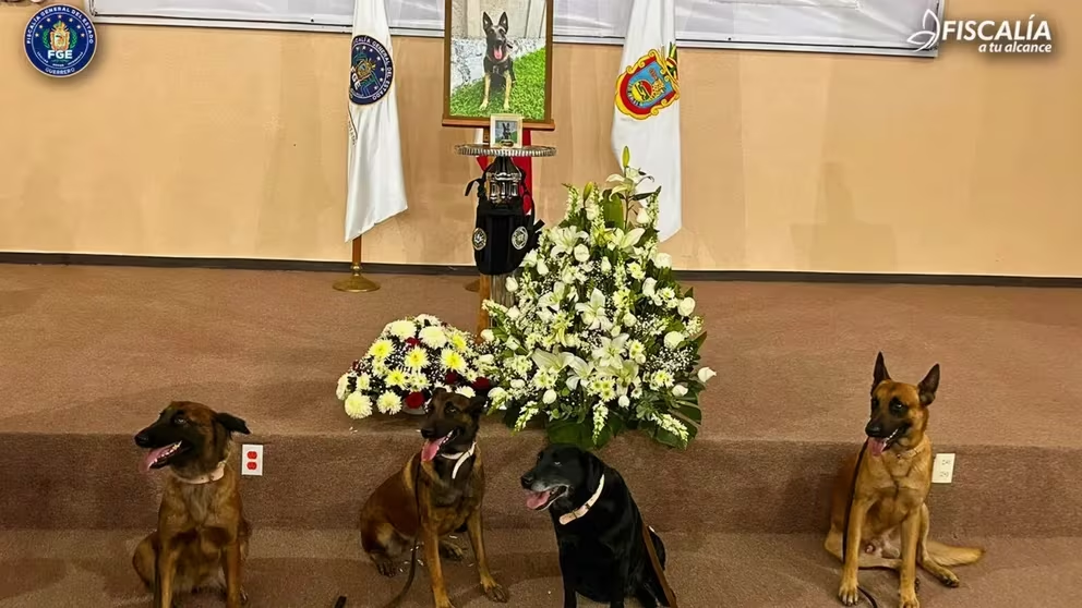 Una emotiva despedida para Nidan, el perro que falleció en las labores de búsqueda por el Huracán Otis