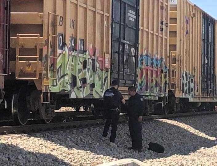 Buscan evitar robos a trenes en Ramos