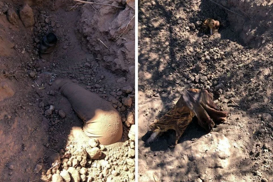 Reportan hallazgo de 17 fosas en Hermosillo, Sonora