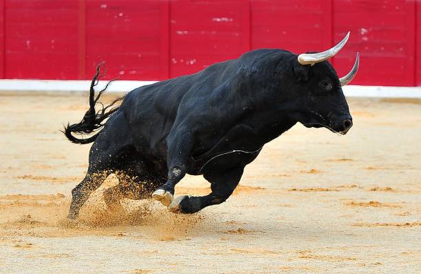 Solicitan reanudar corridas de toros