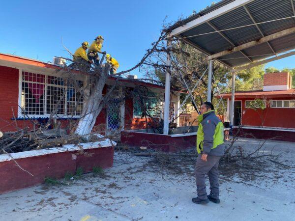 16 escuelas y 100 edificios dañados