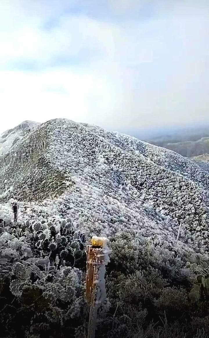 Se viste de blanco la Sierra de Santa Rosa