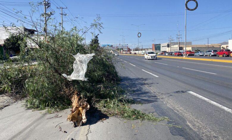 Afectarán ventarrones otra vez en Coahuila