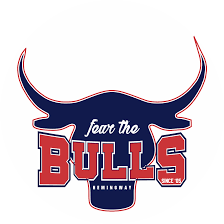 Van Bulls de Hemingway al Flag Football Internacional