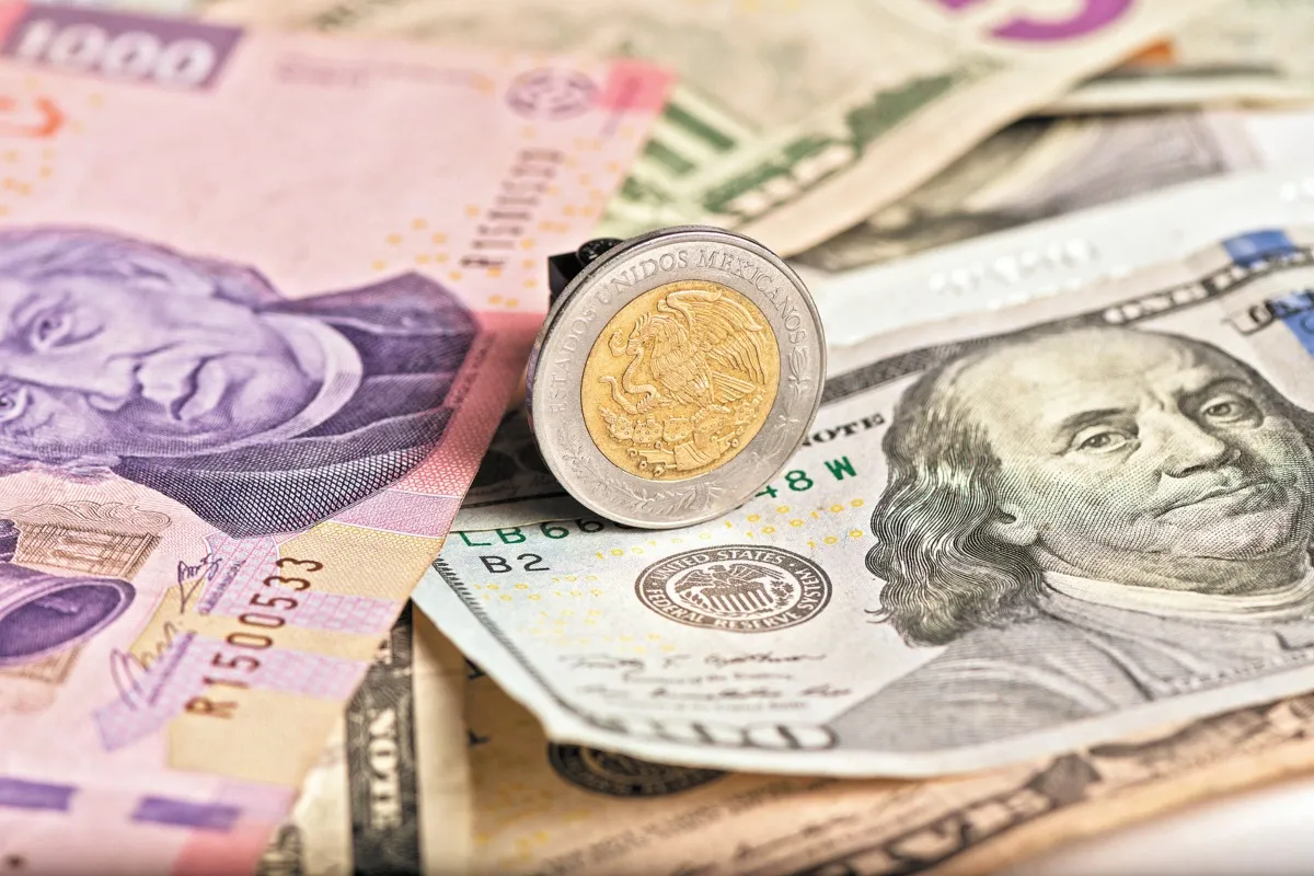 Precio del dólar hoy 29 de enero de 2024: El peso cae marginalmente