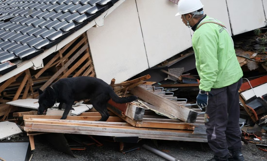 Elsa, la perrita socorrista que busca sobrevivientes tras el sismo en Japón