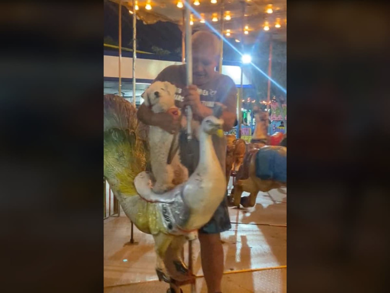 Video de perrito y abuelito enternece las redes