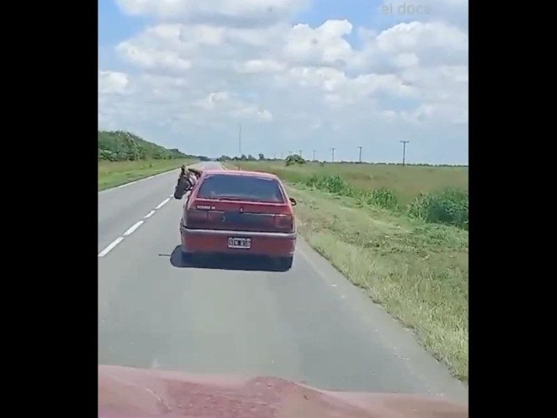 VIDEO: Insólito, sube a su caballo al asiento trasero de un Renault