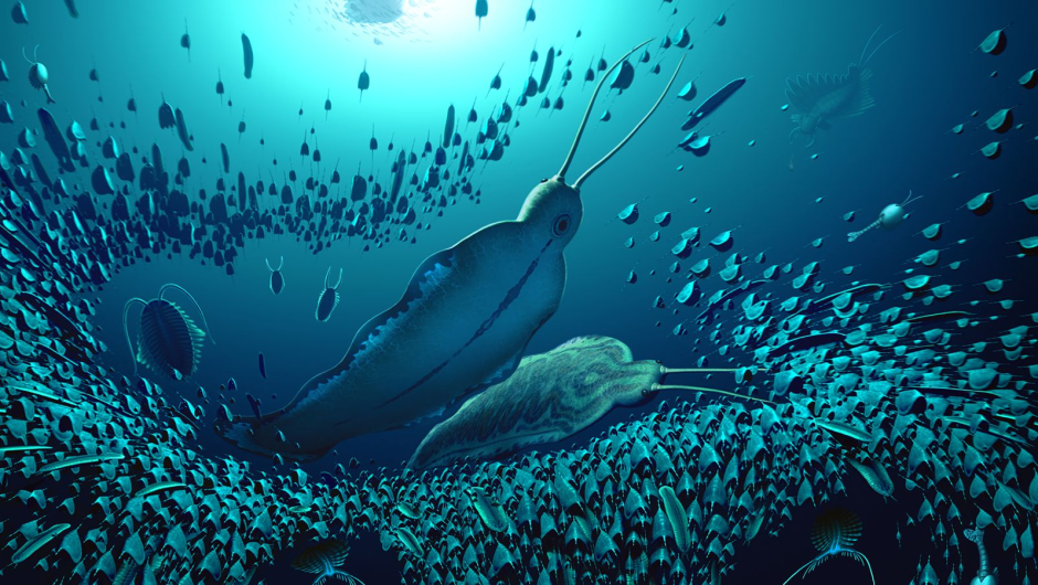 Un estudio revela que grandes gusanos marinos fueron los primeros carnívoros de la Tierra