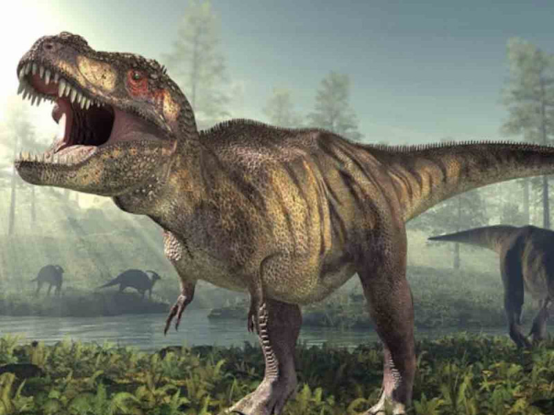 Todo lo que se creía sobre el T. rex estaba equivocado, afirman investigadores