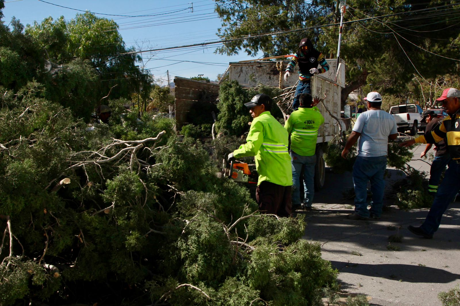 Atiende Gobierno de Saltillo la ciudad ante fuertes vientos