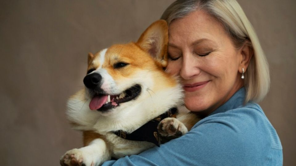 Razones por las que debes adoptar un perrito si tienes más de 50 años