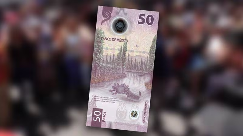 Peso, ‘de bajón’ contra el dólar: Se cotiza en las 17.06 unidades
