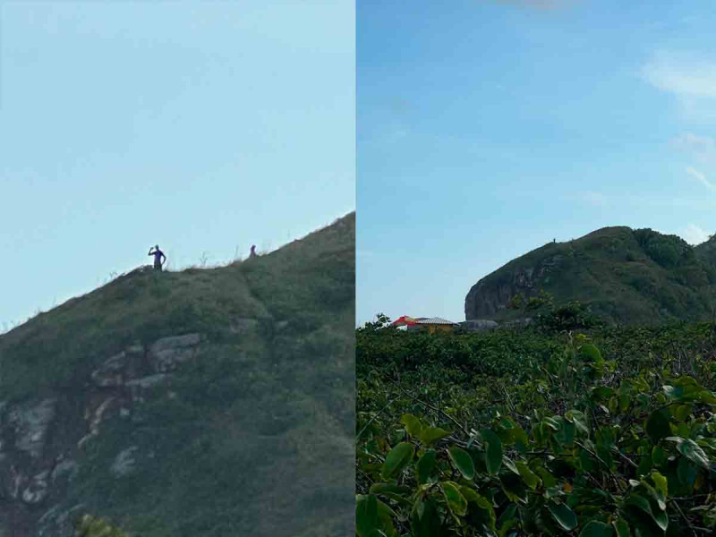 Captan a dos criaturas gigantes paseando por las colinas de una isla en Brasil