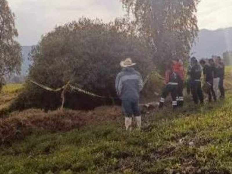 Hallan a bebé sin vida bajo arbustos en un campo de cultivo de Hidalgo