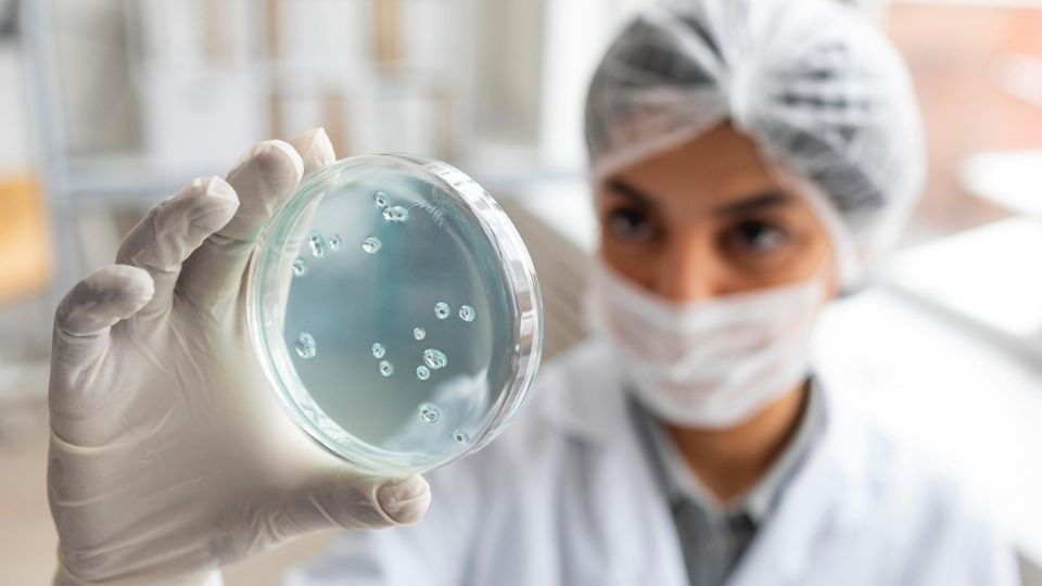 Pangolín, el origen del nuevo virus «mutado» en China