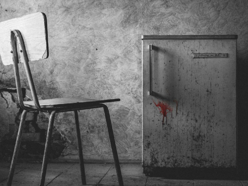 Tétrico hallazgo: Familia compra casa y encuentran cabeza humana en un congelador