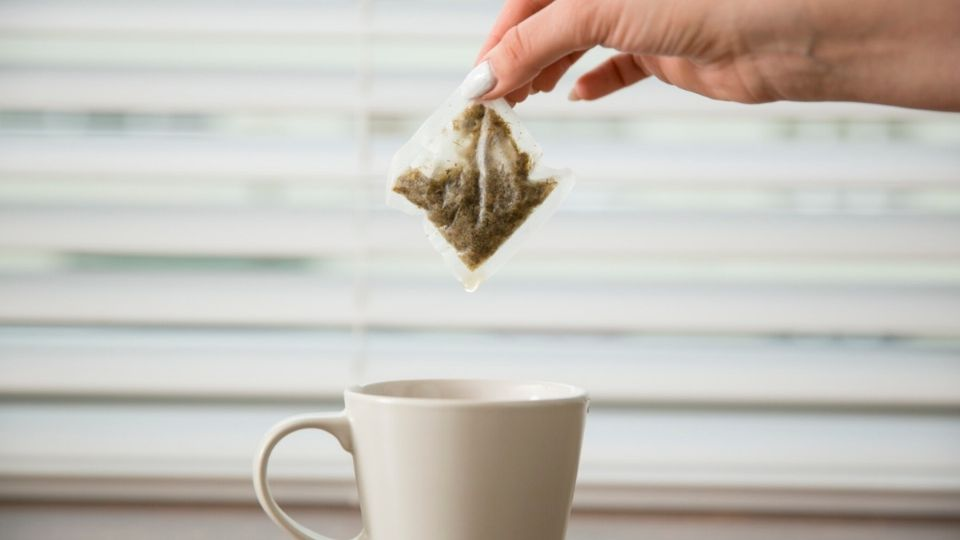 ¿Cuáles son los beneficios de las bolsas de té usadas en las plantas?