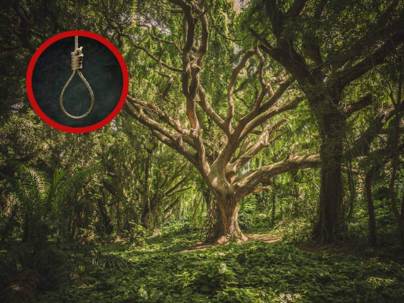 En Nochevieja padre cuelga de árbol a sus hijos; quería regresar con su exesposa