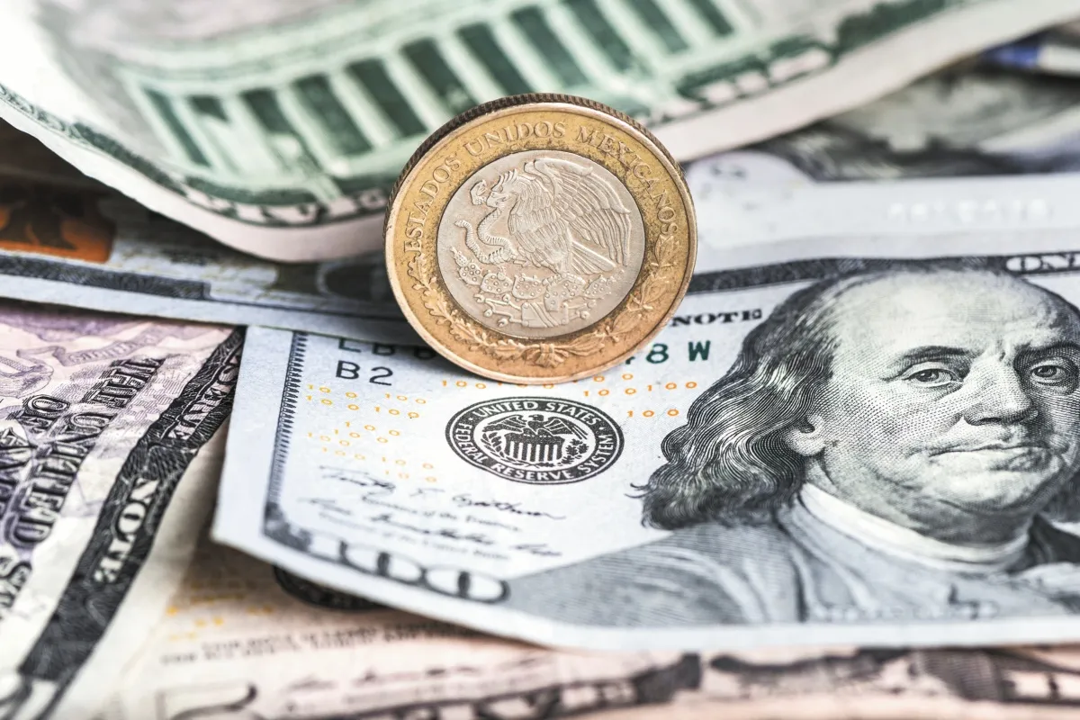 Precio del dólar hoy 22 de enero de 2024: El peso avanza levemente