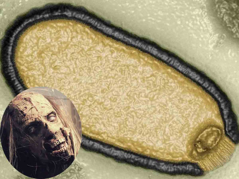 Antiguos virus zombis atrapados en Ártico podrían desatar nueva pandemia mortal