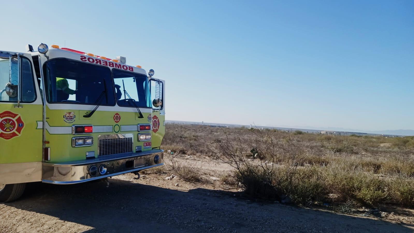 Reportan avistamiento de oso en Villa de Agujita