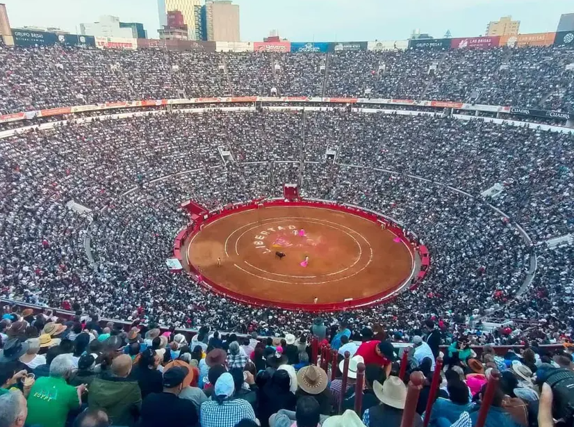 Se reactivan corridas de toros en la Plaza México