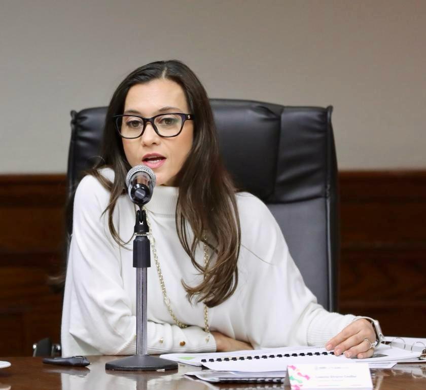 Acuerdan Observatorios Ciudadanos en Saltillo