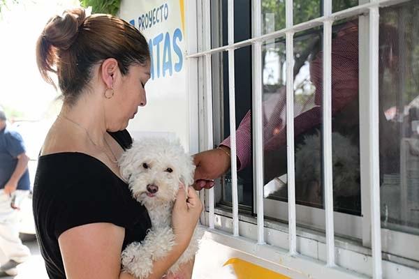 Otorga atención integral a perros 