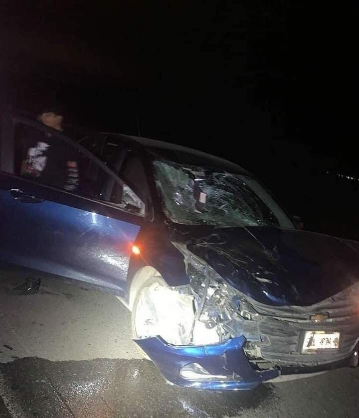 Choca auto contra vaca; animal muere