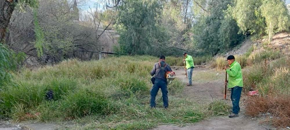 Retira Gobierno de Saltillo 399 toneladas de desechos en arroyos