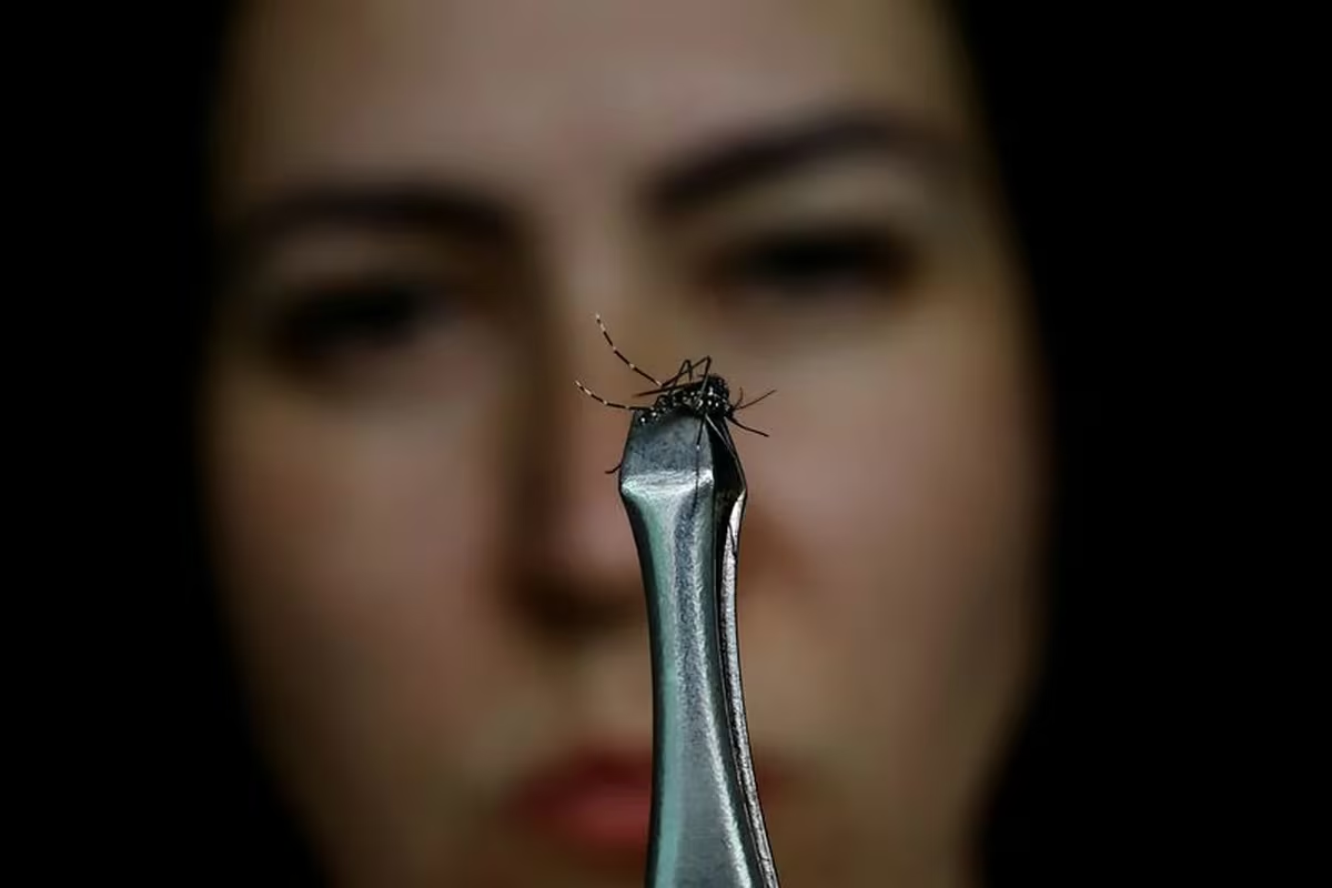 Brasil empieza la vacunación masiva contra el dengue en medio de un récord histórico de casos