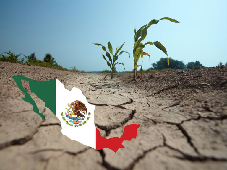 Fenómeno de La Niña: Cuándo inicia y en qué estados de México habrá sequías