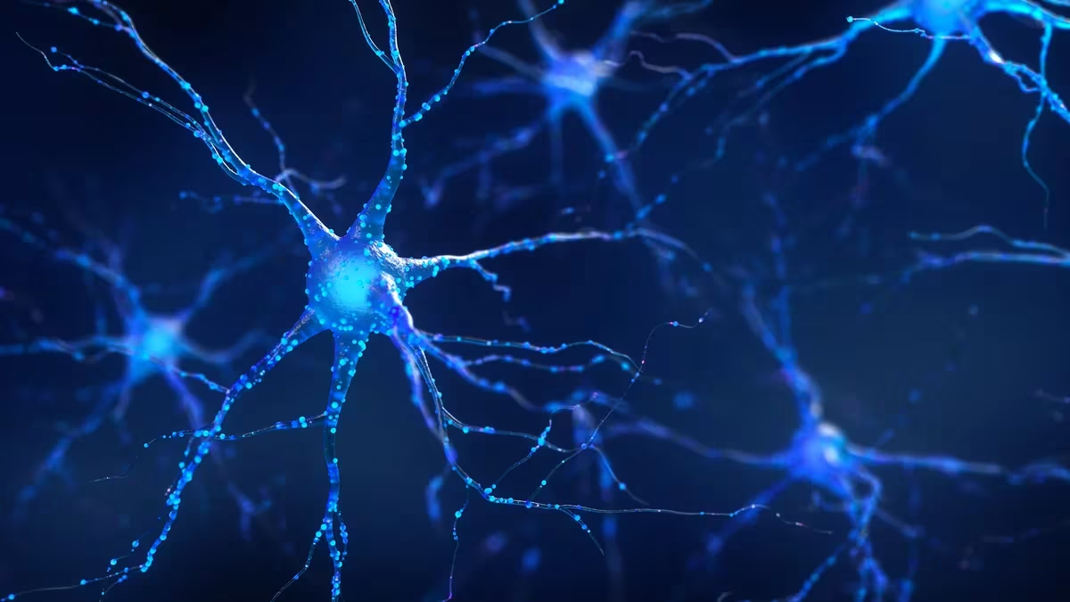 Descubren biomarcadores para detectar el riesgo de demencia con un análisis de sangre una década antes