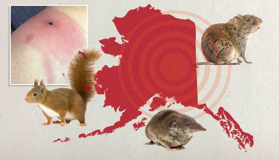 Primera muerte por viruela de Alaska: qué se sabe del virus en humanos