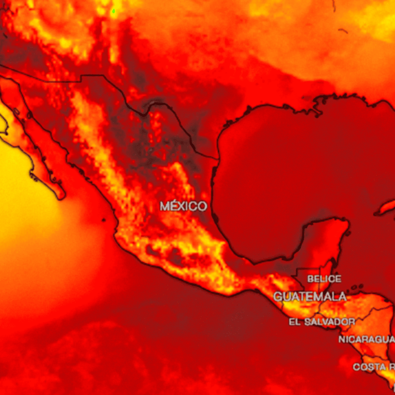 SMN pronostica cinco olas de calor para 2024, ¿cuándo llega la primera?