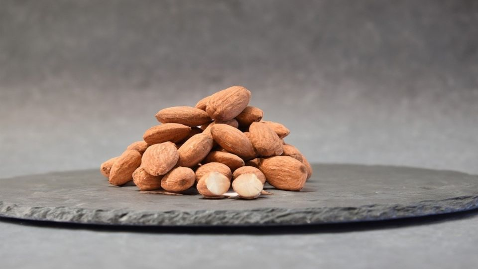 ¿Cómo sembrar tus propias almendras en casa? Sencillo truco con solo un poco de agua
