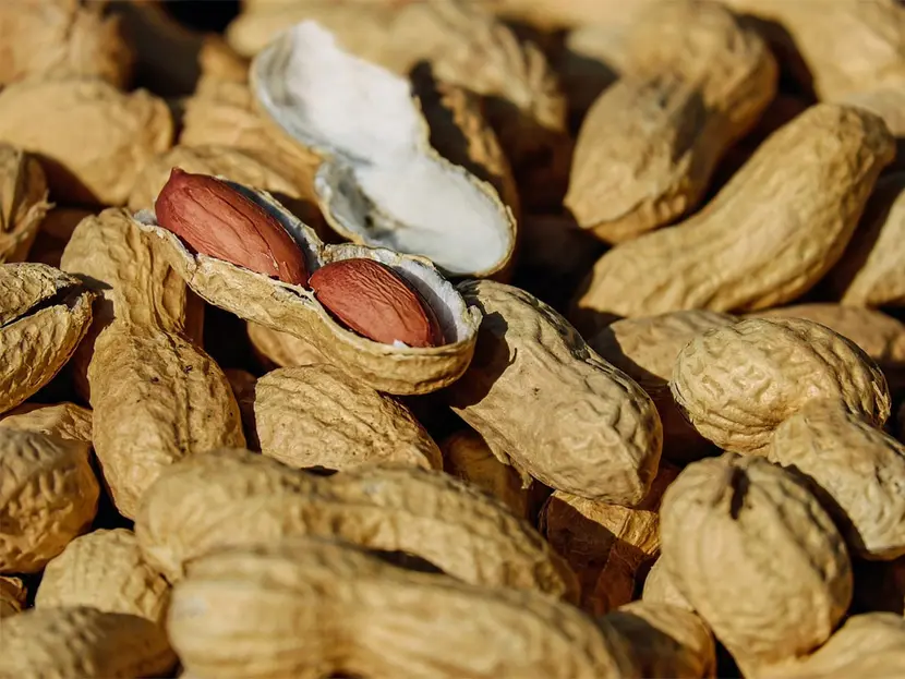 Aprueban inyección que ayuda a reducir reacciones alérgicas a alimentos como el cacahuate