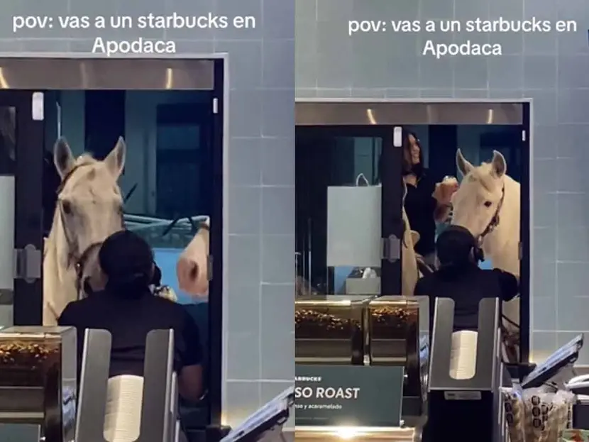 Jóvenes llegan en caballo al Starbucks de Apodaca, NL; ¿Venti para el corcel?